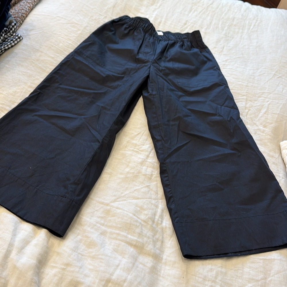 Babaton aritzia ankle wide leg pant